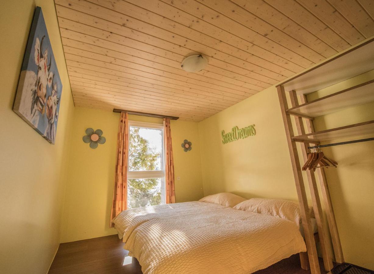 Schutzenbach Backpackers For Adults 18-35 Hostel Lauterbrunnen Bagian luar foto